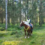 Appartamento Postgaarden Froslev Padborg