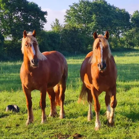 Postgaarden Froslev Padborg