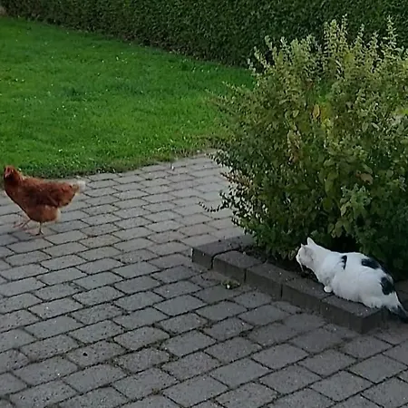 Postgaarden Froslev * Padborg