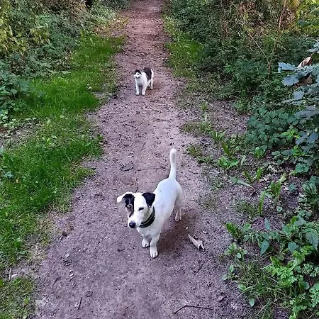 Postgaarden Froslev *