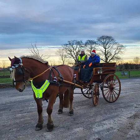 Postgaarden Froslev Apartmán Padborg