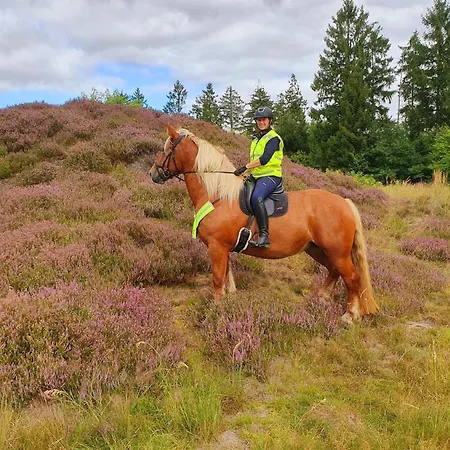 Postgaarden Froslev Padborg
