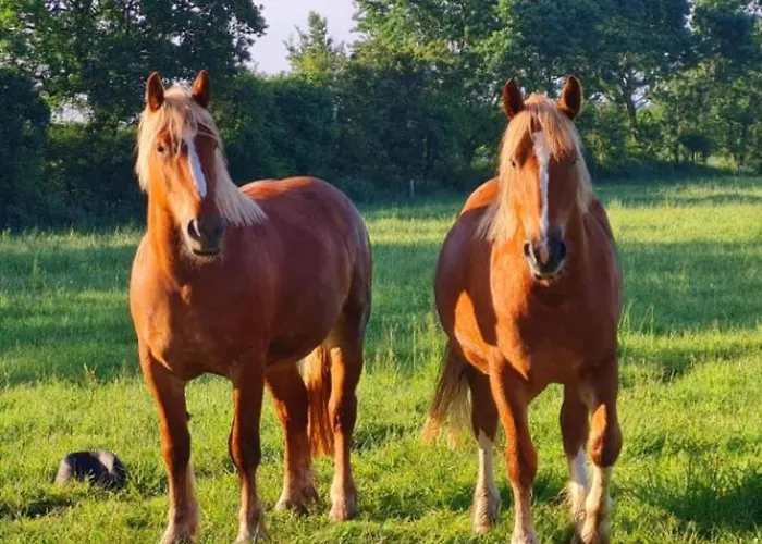 Postgaarden Froslev Padborg