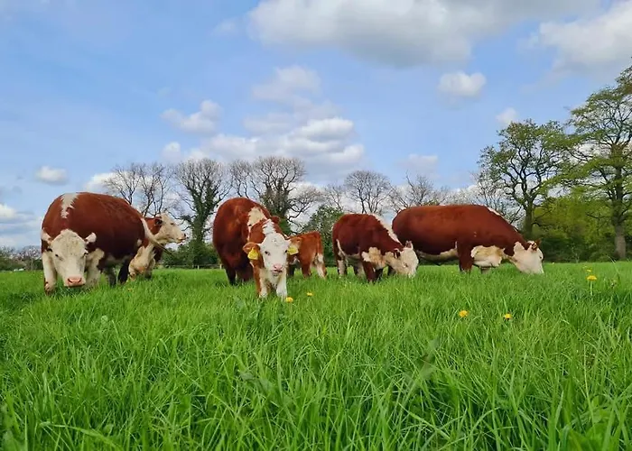 Postgaarden Froslev * Padborg