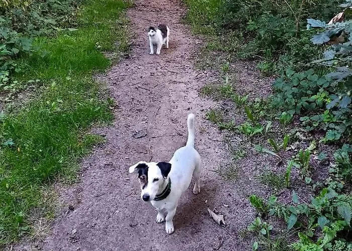 Postgaarden Froslev *