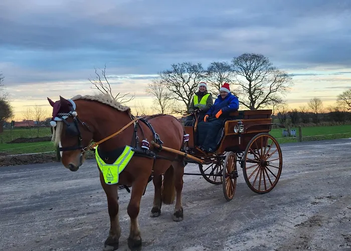 Postgaarden Froslev Appartement Padborg