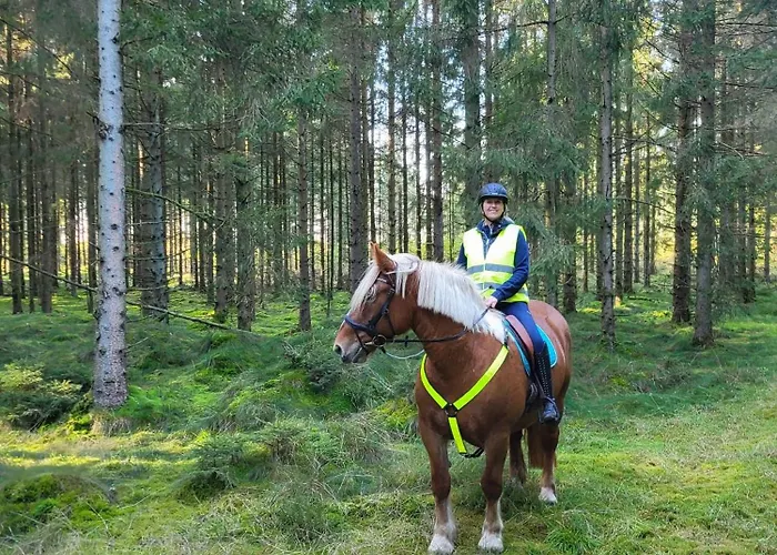 Appartement Postgaarden Froslev Padborg